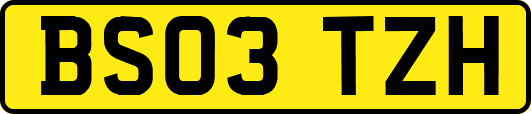 BS03TZH