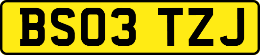 BS03TZJ