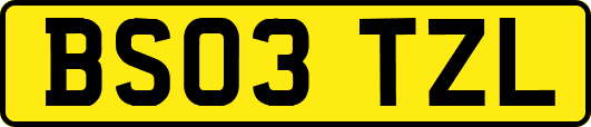 BS03TZL