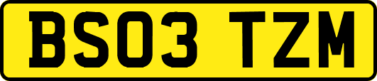 BS03TZM