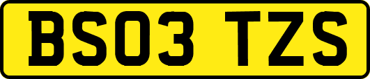 BS03TZS