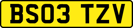 BS03TZV