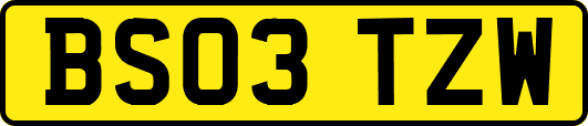BS03TZW
