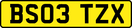 BS03TZX
