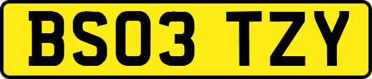BS03TZY