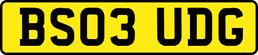 BS03UDG