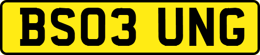 BS03UNG