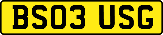 BS03USG