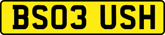 BS03USH