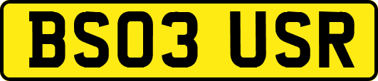BS03USR
