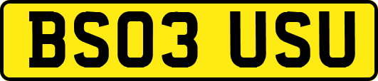 BS03USU
