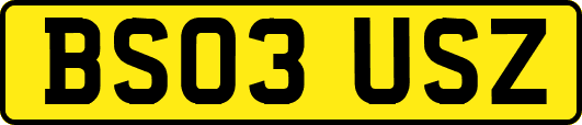 BS03USZ
