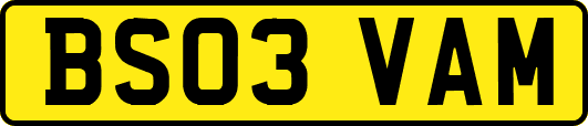 BS03VAM