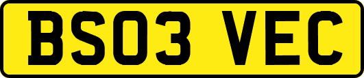 BS03VEC