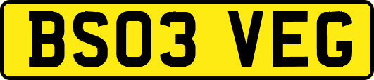 BS03VEG