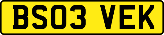 BS03VEK