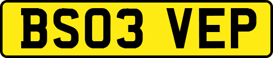 BS03VEP