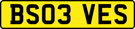 BS03VES