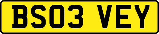 BS03VEY