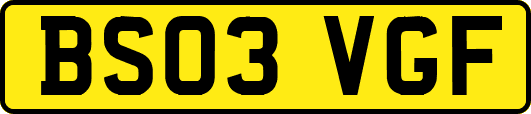 BS03VGF