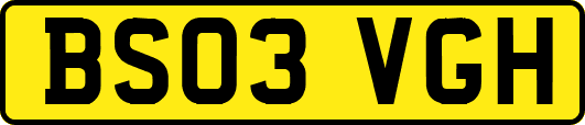 BS03VGH