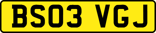 BS03VGJ