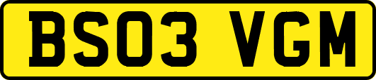BS03VGM