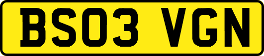 BS03VGN