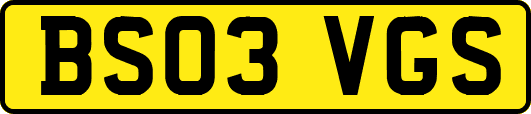 BS03VGS