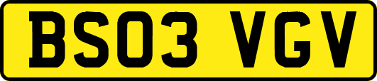 BS03VGV