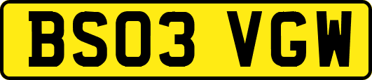 BS03VGW
