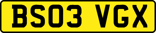 BS03VGX