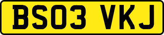 BS03VKJ