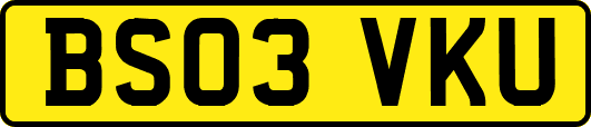 BS03VKU
