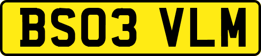 BS03VLM