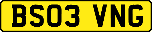 BS03VNG