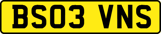 BS03VNS