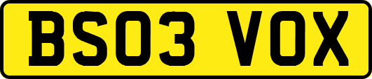 BS03VOX