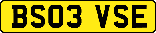 BS03VSE
