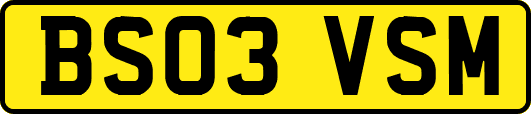 BS03VSM