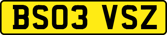 BS03VSZ