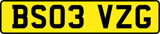 BS03VZG