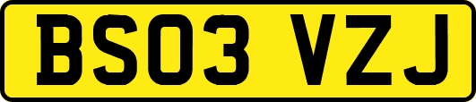 BS03VZJ
