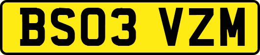 BS03VZM