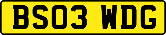 BS03WDG