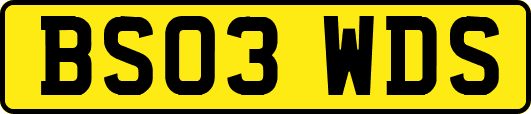 BS03WDS