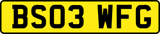 BS03WFG