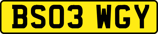 BS03WGY