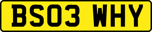 BS03WHY