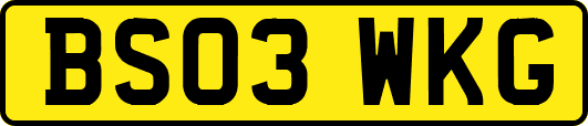 BS03WKG